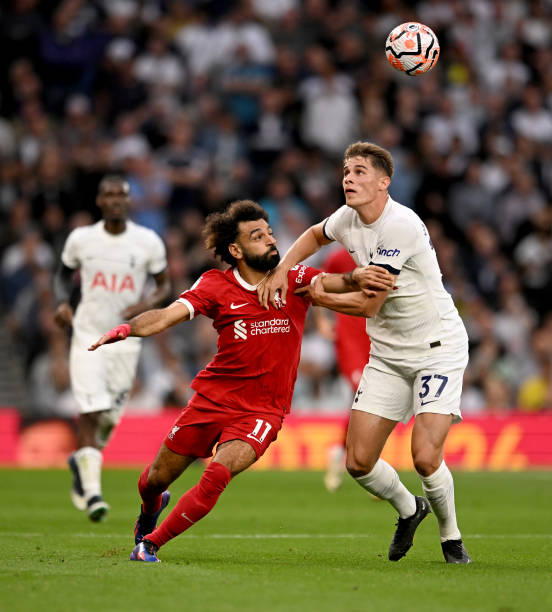 生活环境的 生活环境的