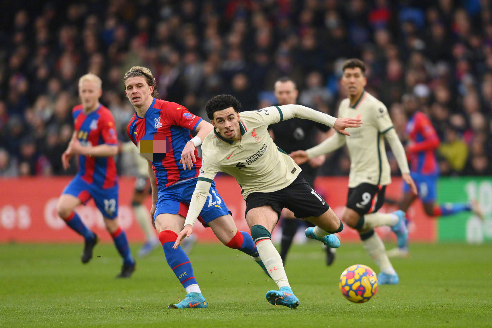 维特塞尔的 维特塞尔的